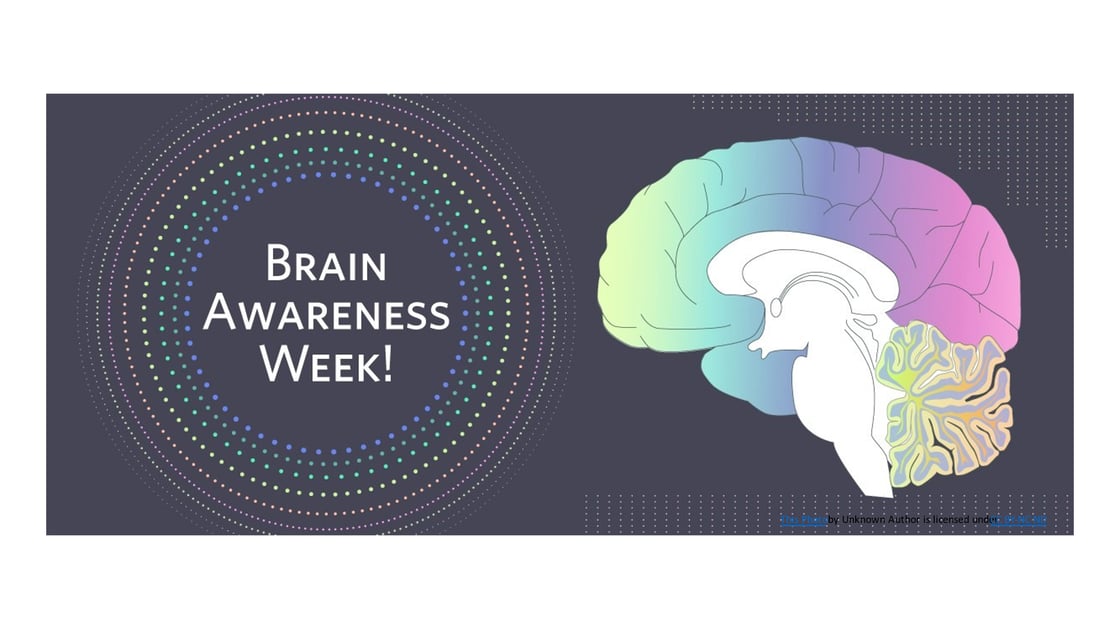 Brain
                                    Awareness Week