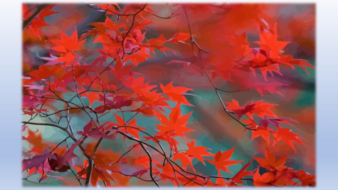 Fall Series 2023_Leaves