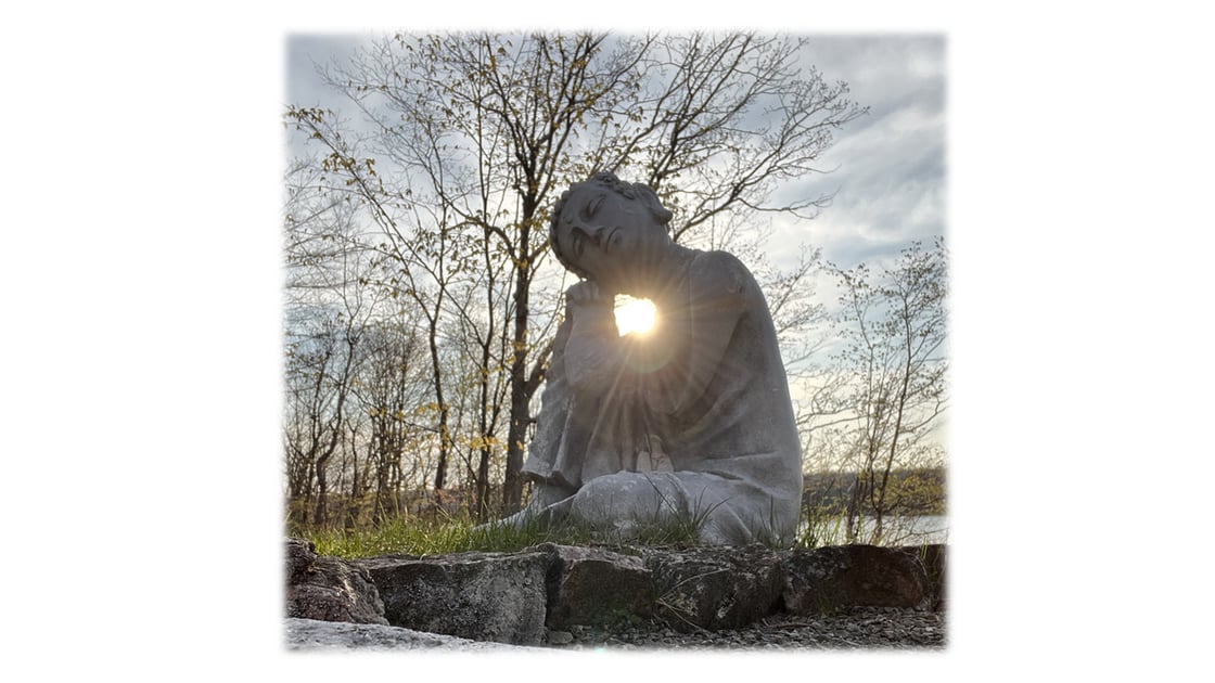 Monthly Newsletter Banner